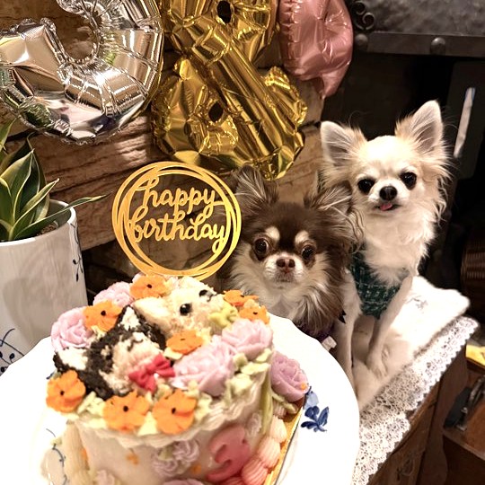 つくしちゃん4歳、ももこちゃん3歳のオーダーケーキ