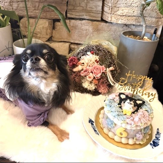 こはるちゃんは6歳のハッピーバースデー！のオーダーケーキ