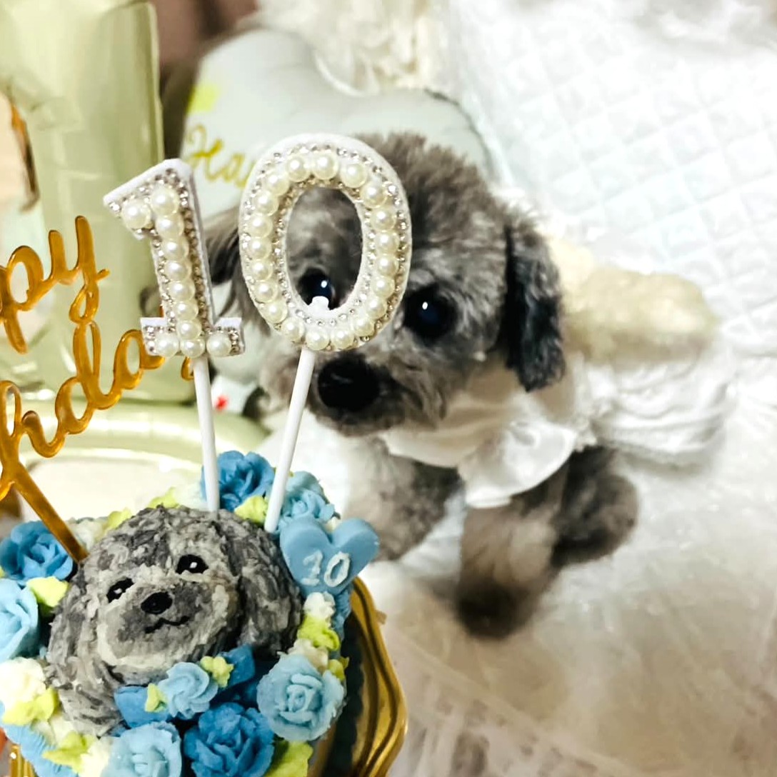 Bebeくんは10歳の記念すべきバーズデーのオーダーケーキ