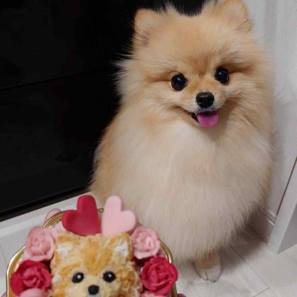 ロビちゃん2歳のhappy smileのオーダーケーキ