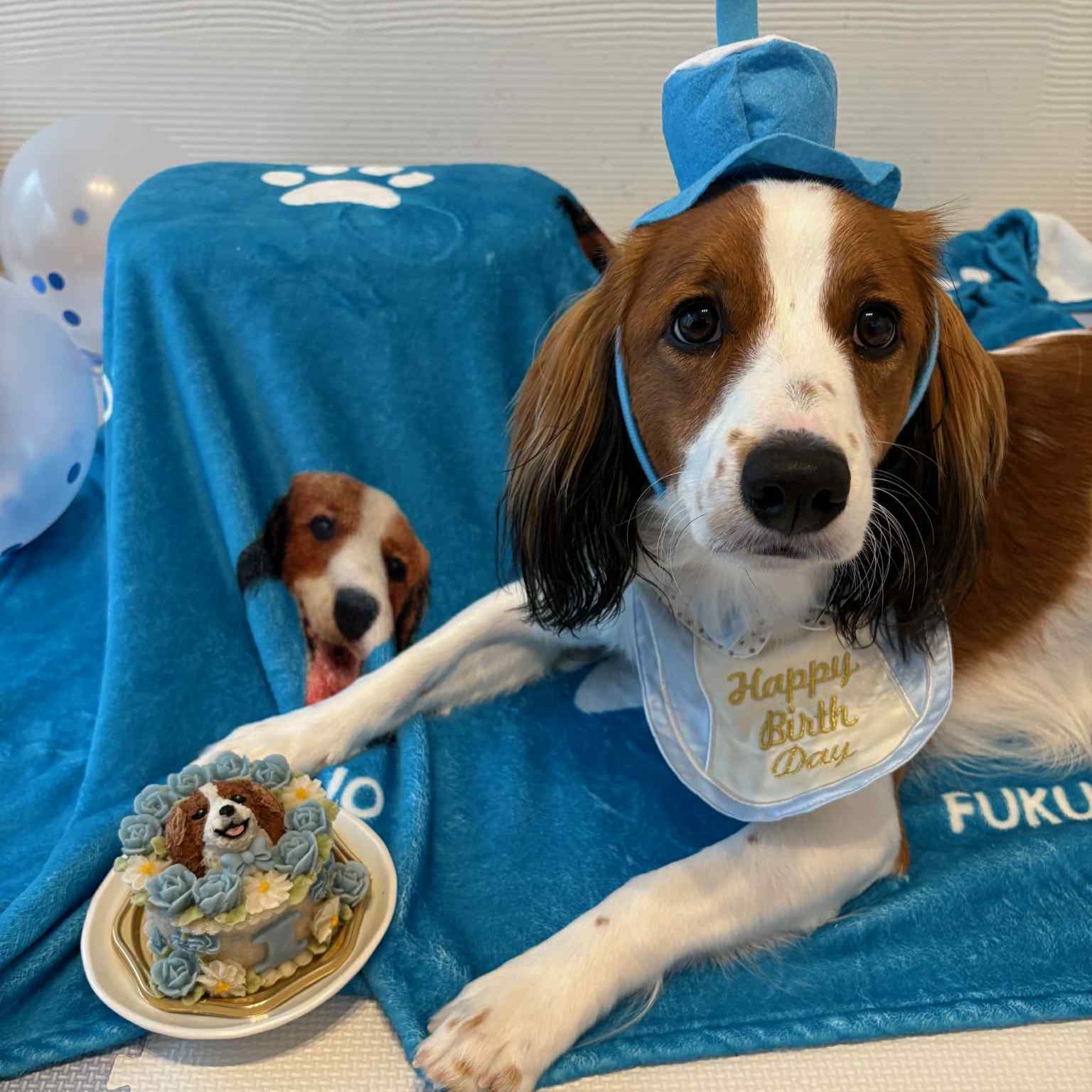 Fukuoくんは初めてのお誕生日ケーキのオーダーケーキ