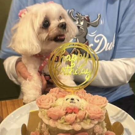 チロロちゃんは大好きなママさんとお祝いスマイルのオーダーケーキ