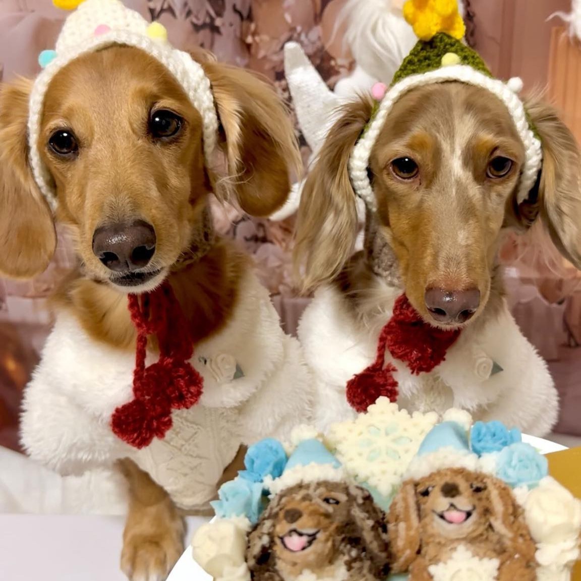 ティノくん、ノアくんのメリークリスマス!のオーダーケーキ