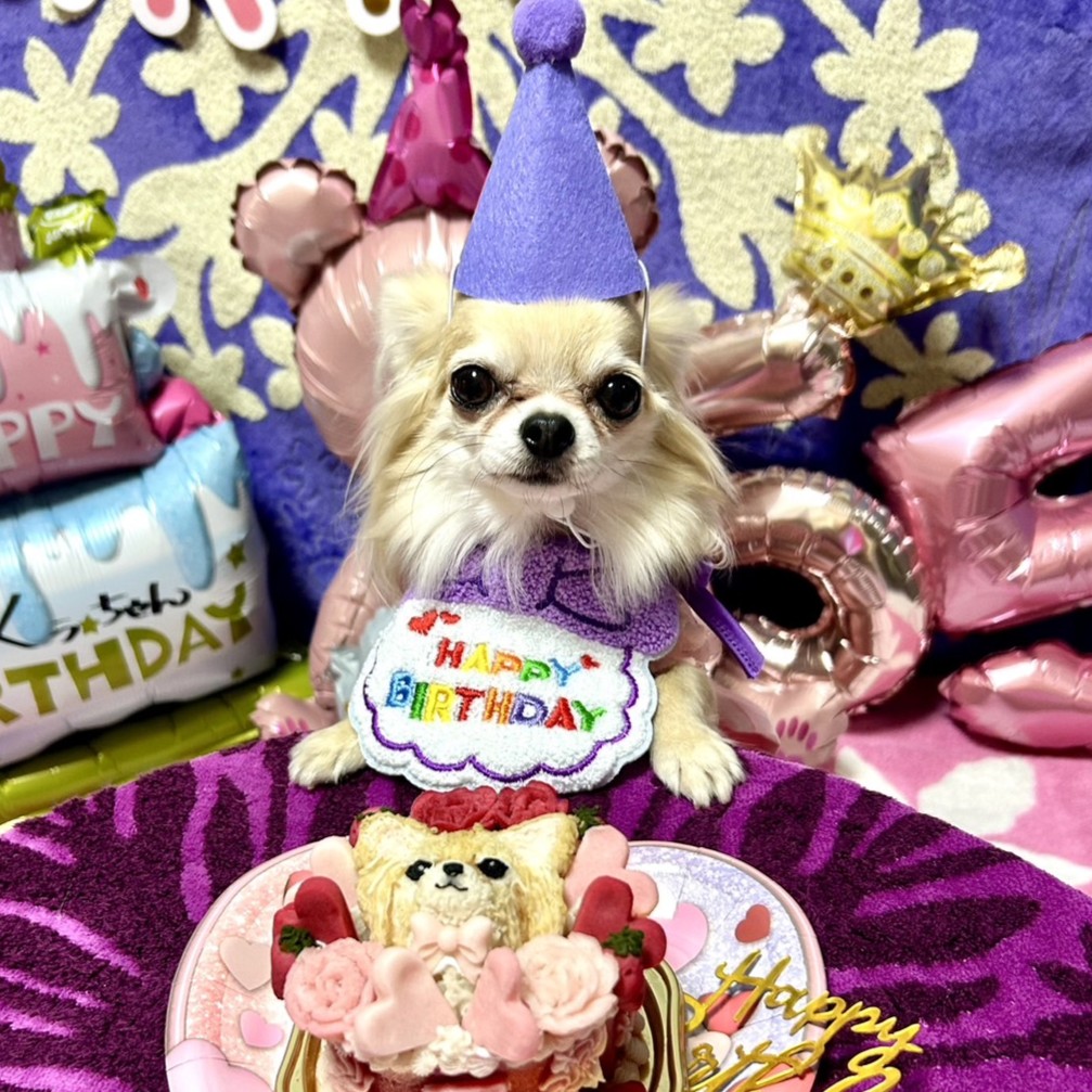 くうちゃんは5歳のお誕生日を迎えましたのオーダーケーキ