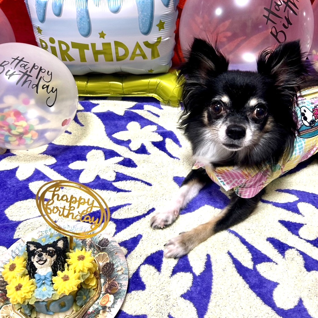 れあくんは10歳のバースデーのオーダーケーキ