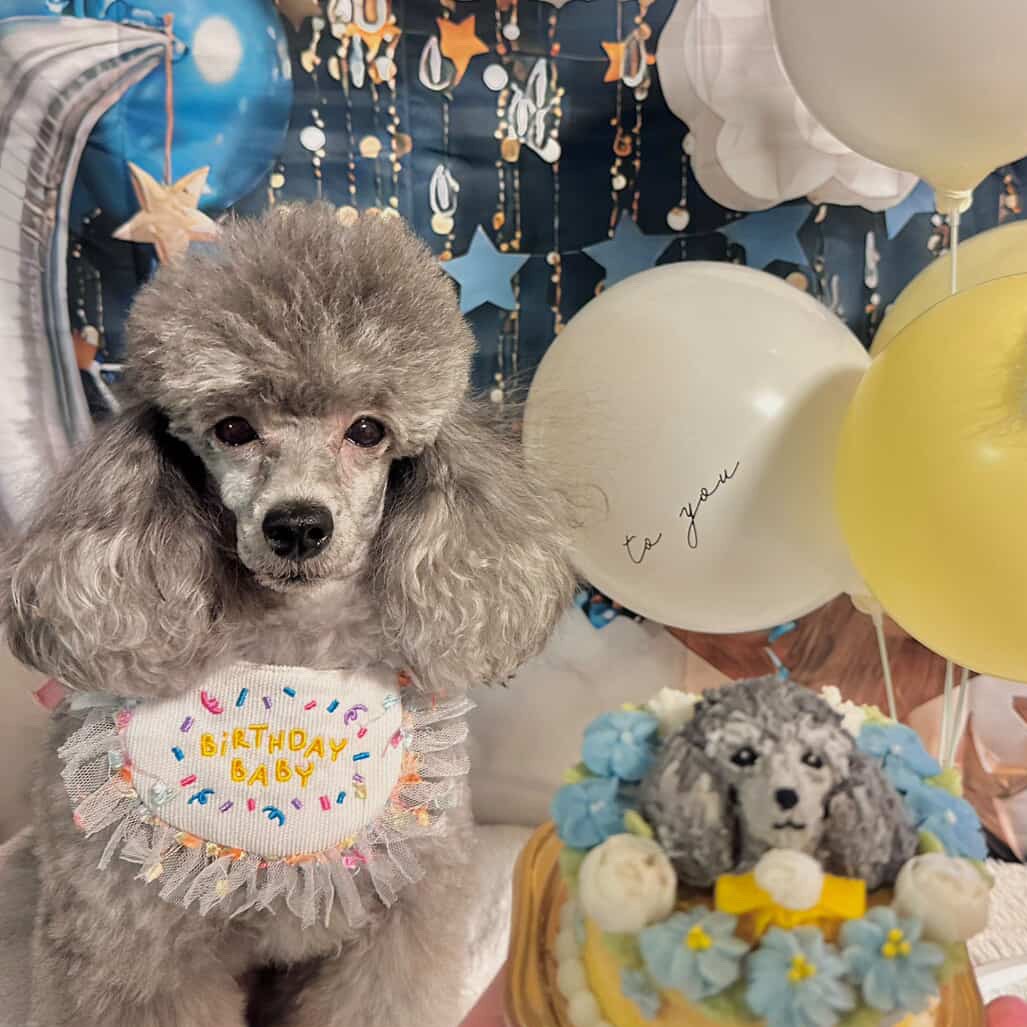 輝夢くん、4歳のバーステーパーティーのオーダーケーキ