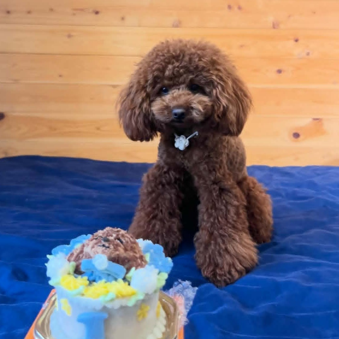 あもちゃん、1歳おめでとうございます。のオーダーケーキ