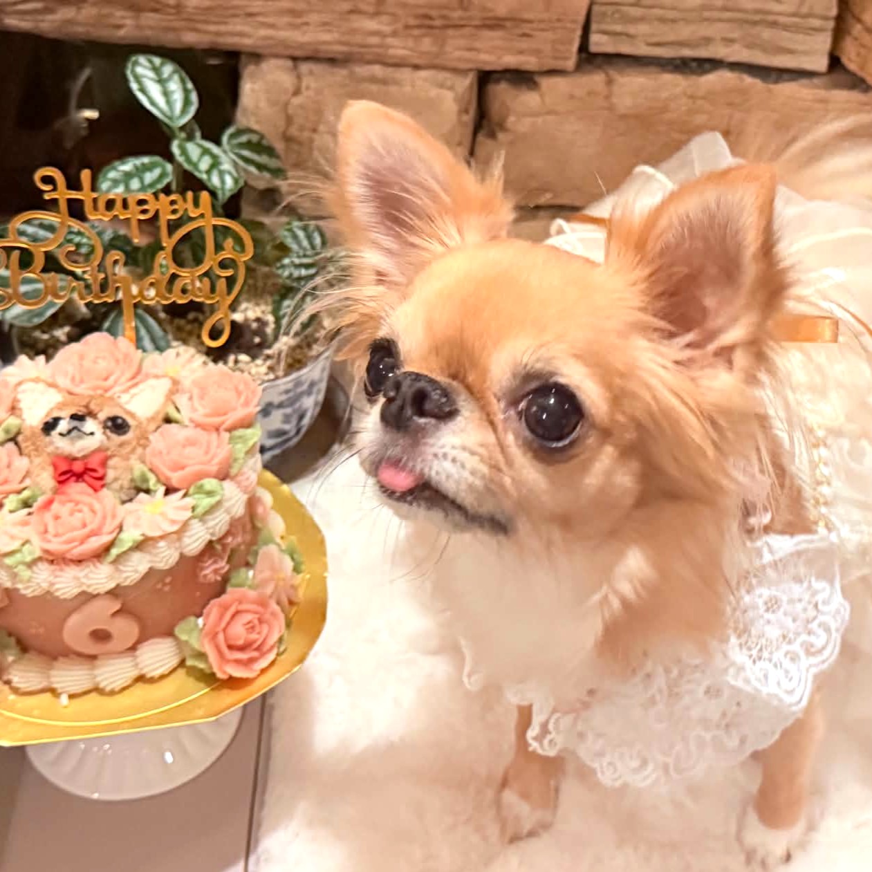 くるみちゃん、6歳おめでとうございます。のオーダーケーキ