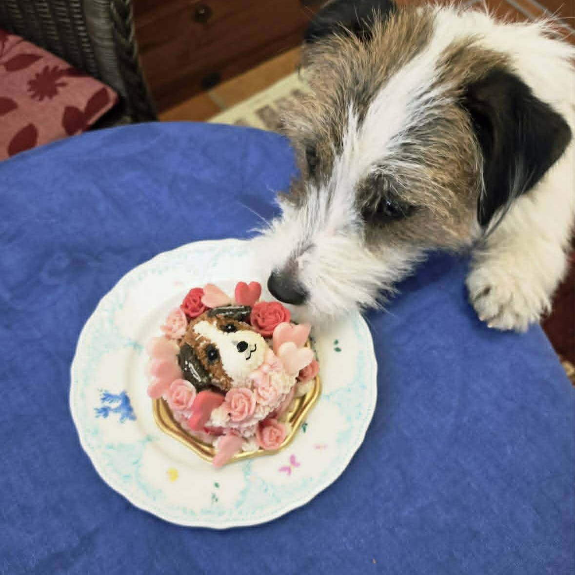 HOWL くんのはじめてのお誕生日のオーダーケーキ