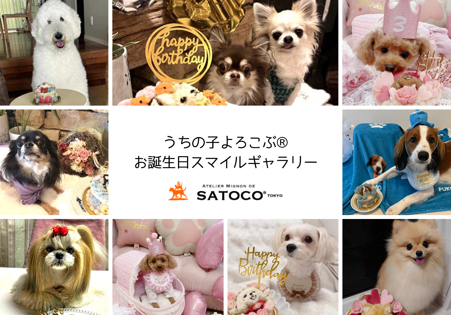 スマイルギャラリギャラリー