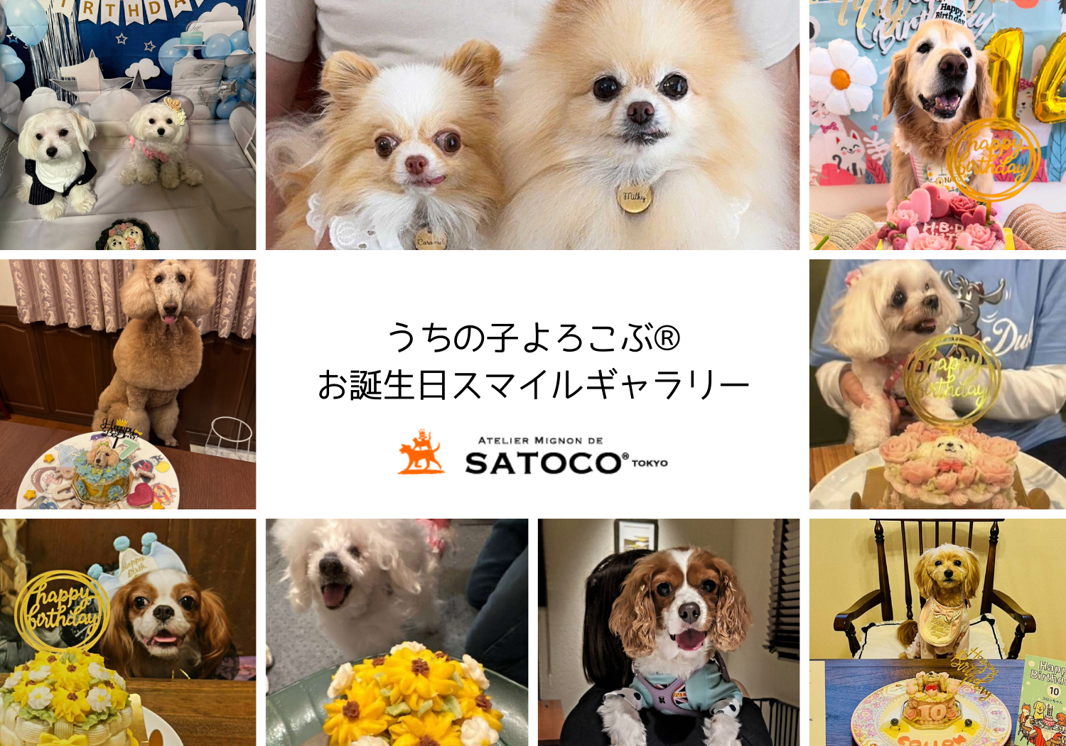 うちの子よろこぶ®お誕生日スマイルギャラリー